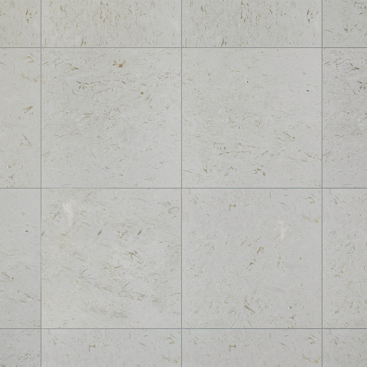 Shellstone Myra limestone tiles displayed in a natural stone interior setting
