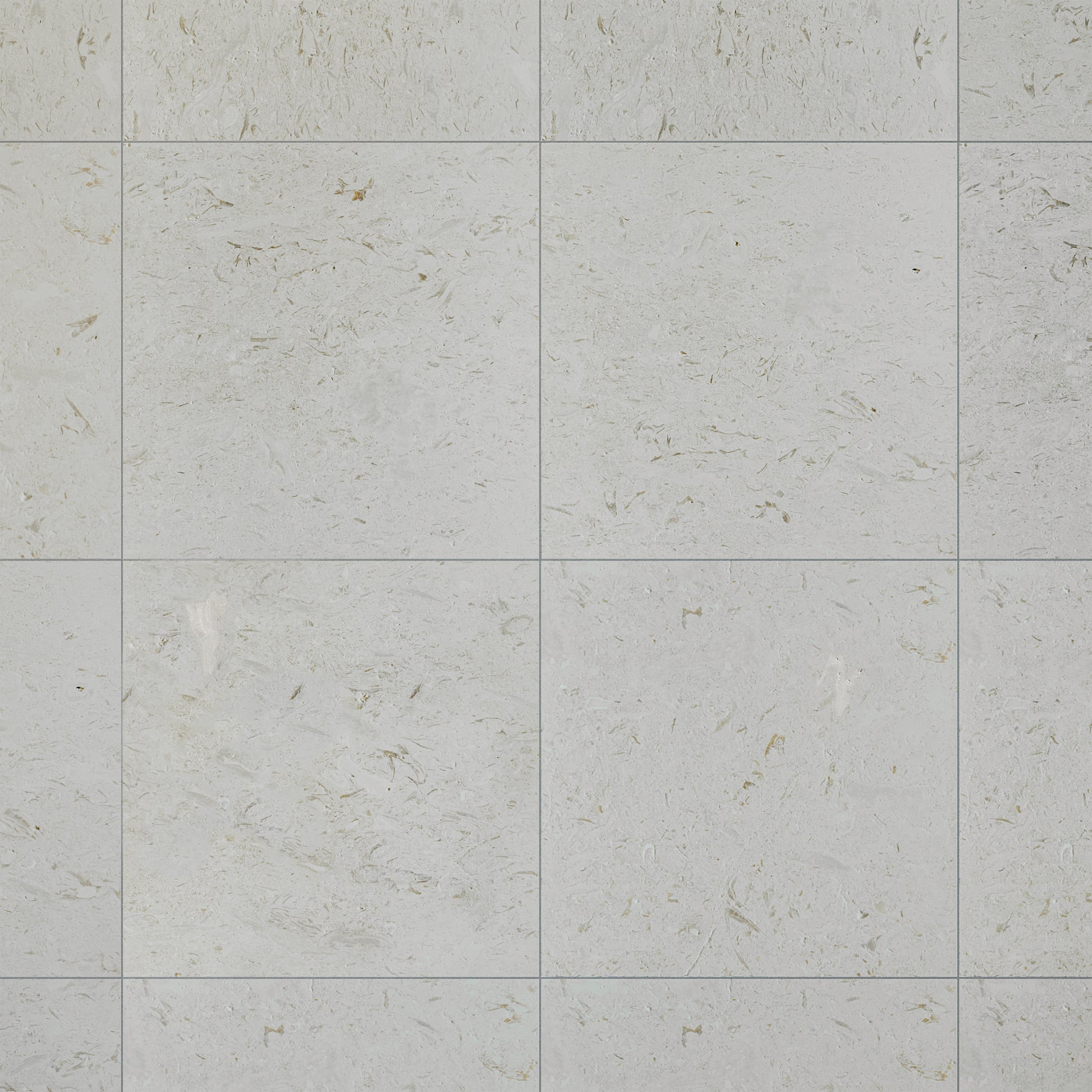 Shellstone Brushed Limestone Wall & Floor Tiles Natural Stone Texture