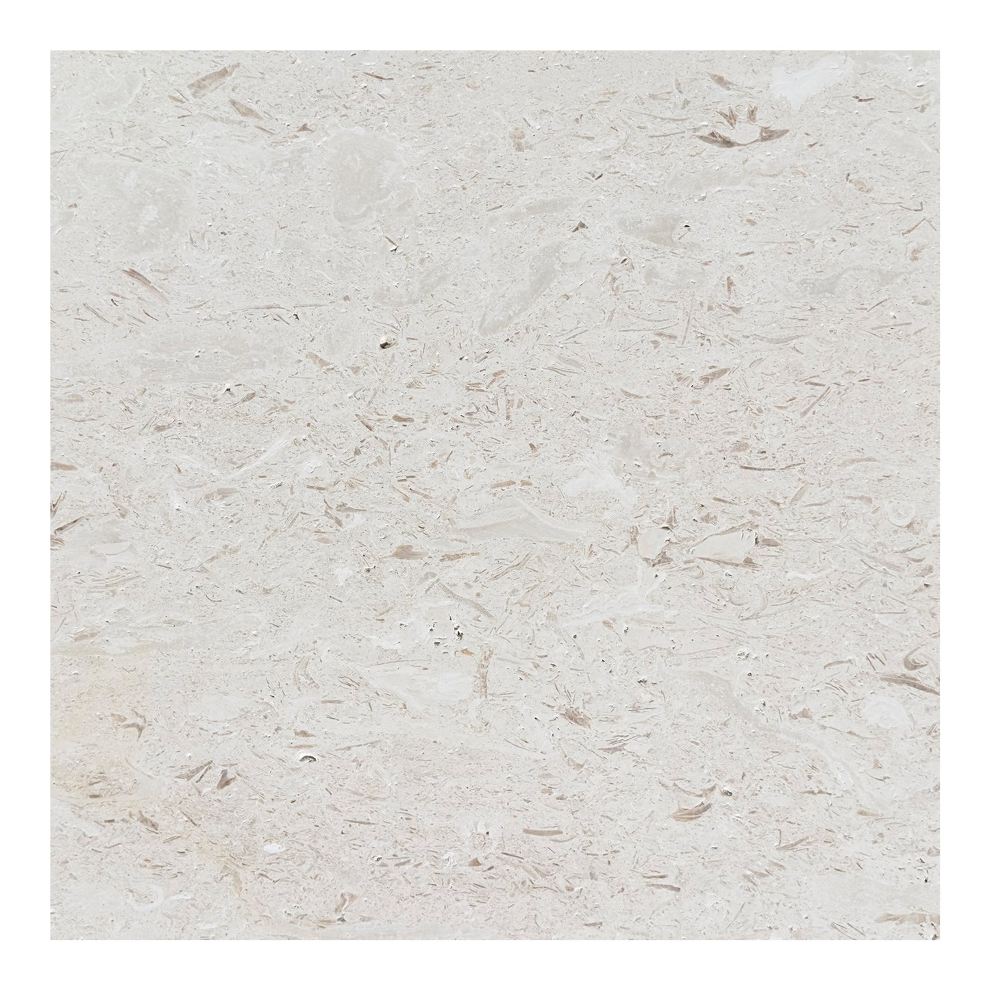 Shellstone Brushed Limestone Wall & Floor Tiles Natural Stone Texture