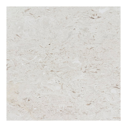 Shellstone Brushed Limestone Wall & Floor Tiles Natural Stone Texture