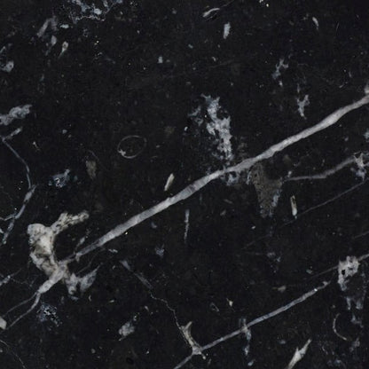 Nero Marquina Honed Marble Wall & Floor Tiles