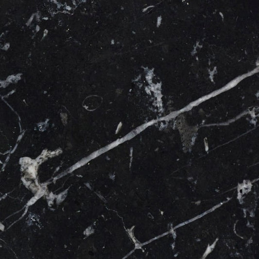 Nero Marquina Honed Marble Wall & Floor Tiles