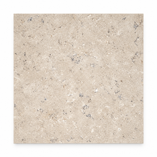 Dijon honed limestone square sample viewed from above, showing beige tones and natural fossil markings.