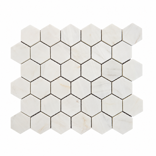 Dolomite polished marble hexagon mosaic sheet with 48 x 48 mm chips, front view