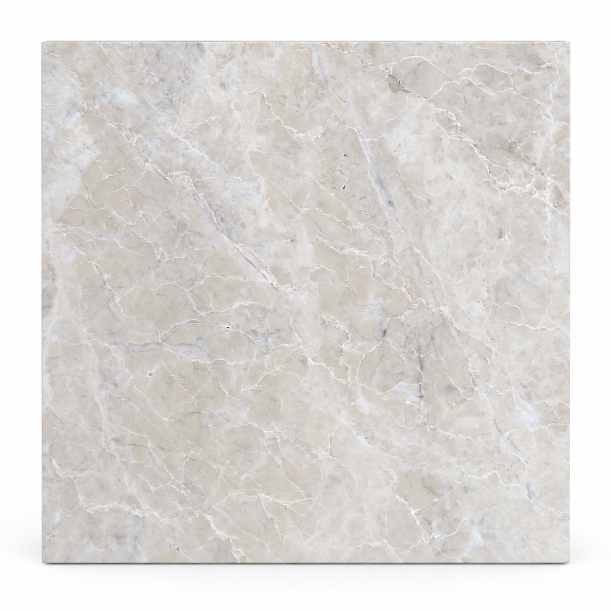 Platinum Honed Marble Wall & Floor Tiles: front view showing the natural marble face