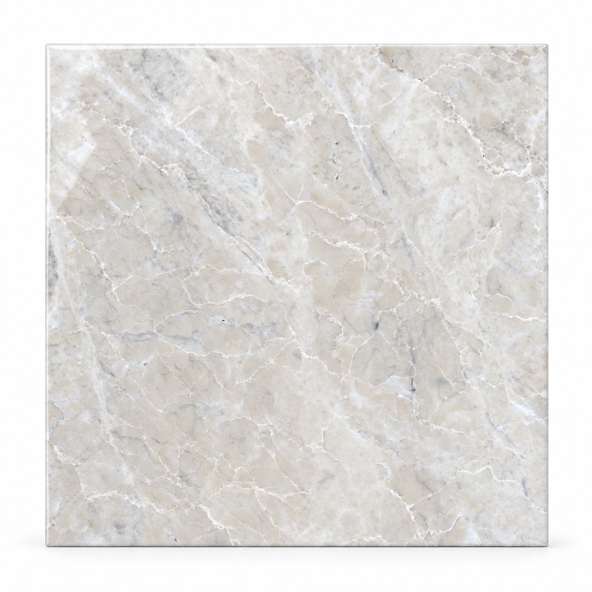 Platinum Polished Marble Wall & Floor Tiles: front view showing the natural marble face