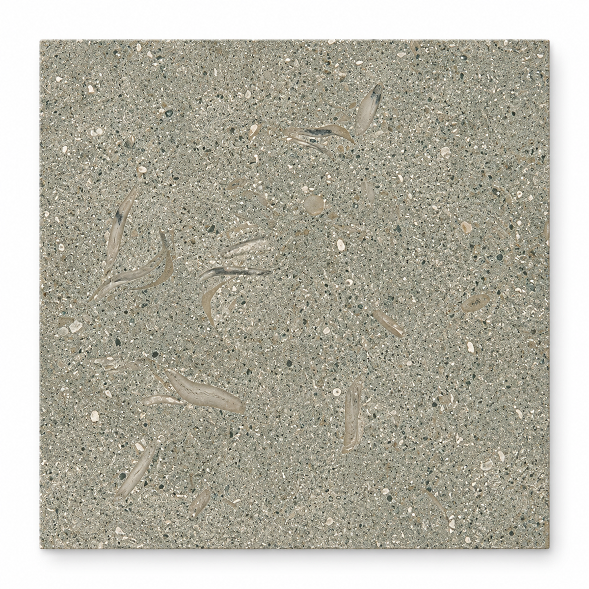 Seagrass honed limestone square tile, 305 x 305 mm, showing grey-green tones and natural fossil detail