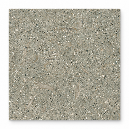 Seagrass honed limestone square tile, 305 x 305 mm, showing grey-green tones and natural fossil detail
