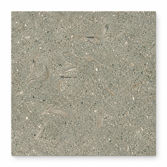 Seagrass honed limestone square tile, 305 x 305 mm, showing grey-green tones and natural fossil detail