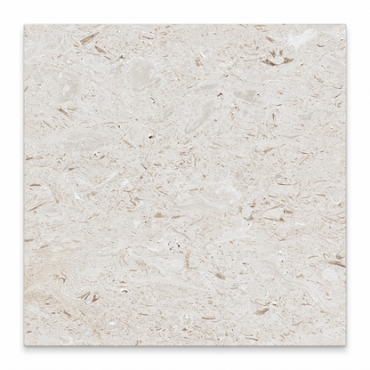 Shellstone brushed limestone 610 x 610 mm square tile viewed from above, showing natural cream shell and fossil markings.