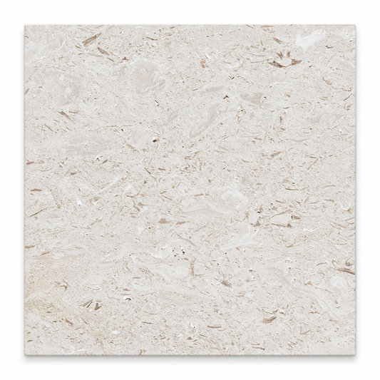 Shellstone brushed limestone 610 x 610 mm square tile viewed from above, showing natural cream shell and fossil markings.