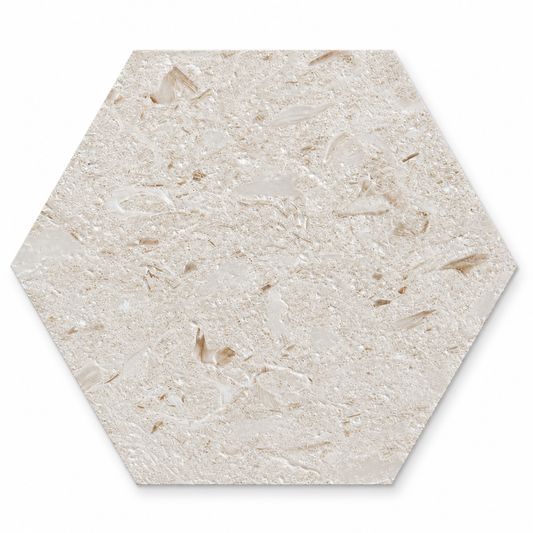 Shellstone brushed limestone hexagon tile, 203 x 176 mm, front view showing natural shell and fossil detail